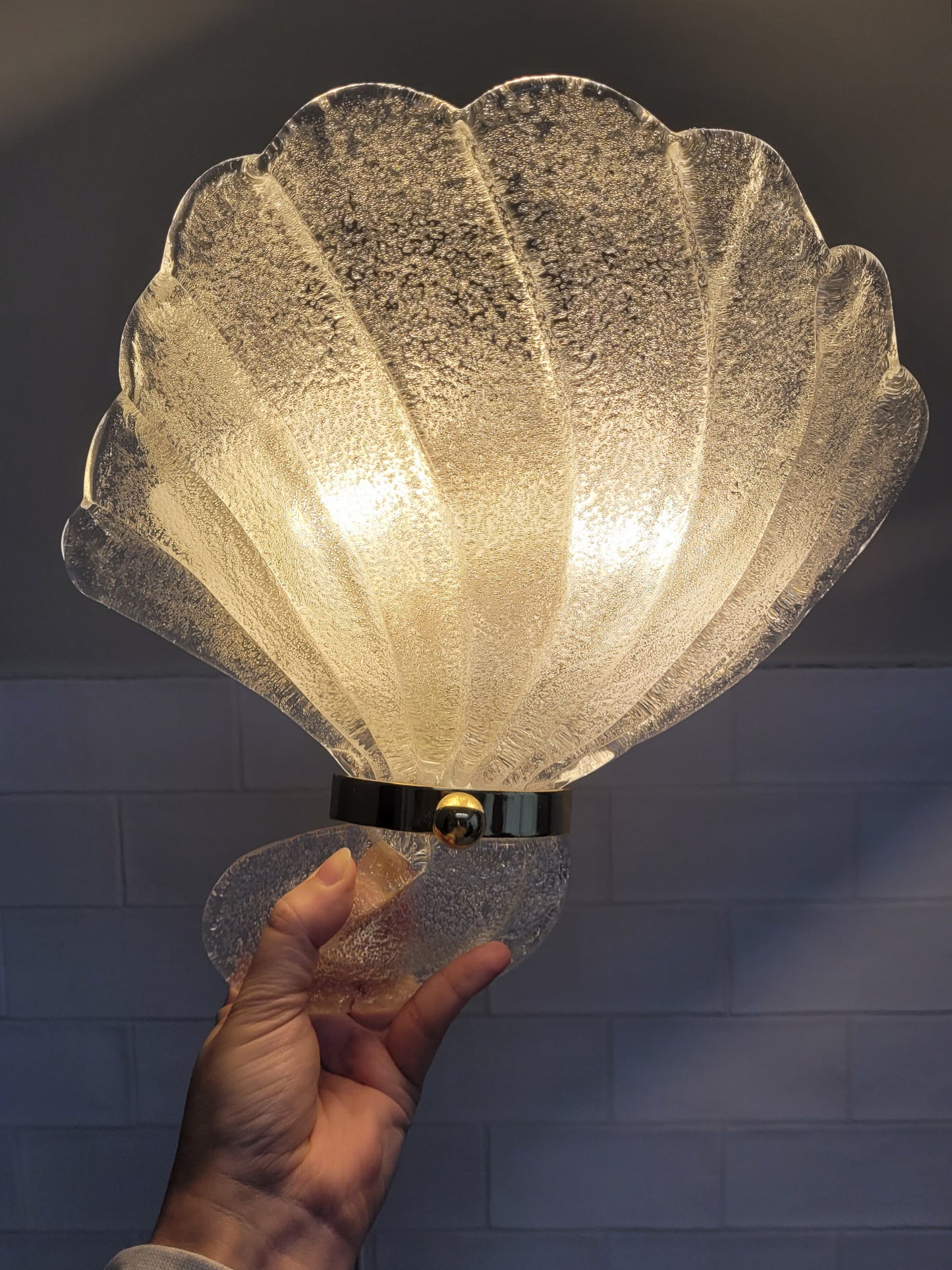 front view of an illuminated vintage Murano seashell wall light